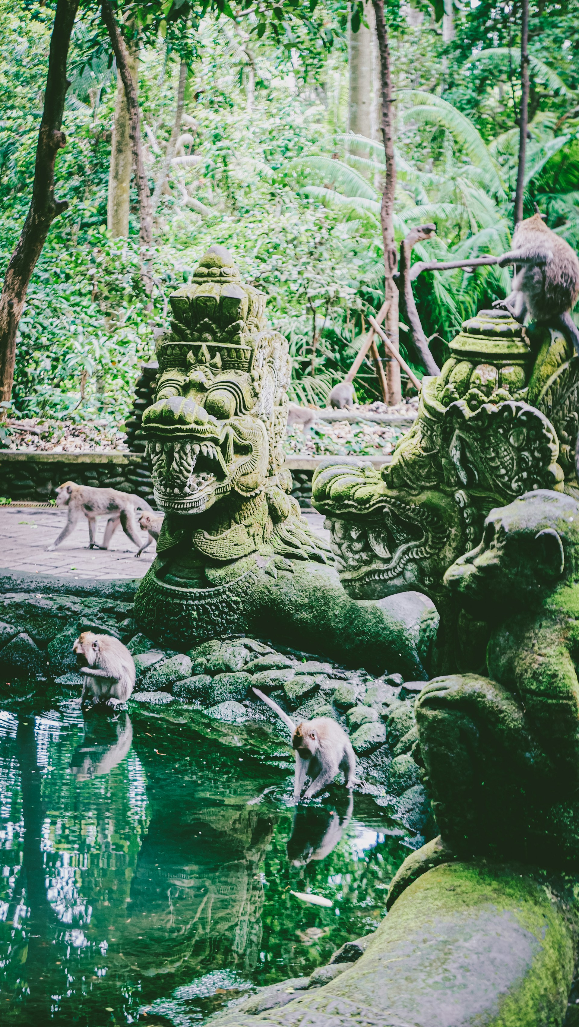 Bali Rice Terraces