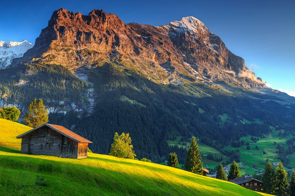 Swiss Delights